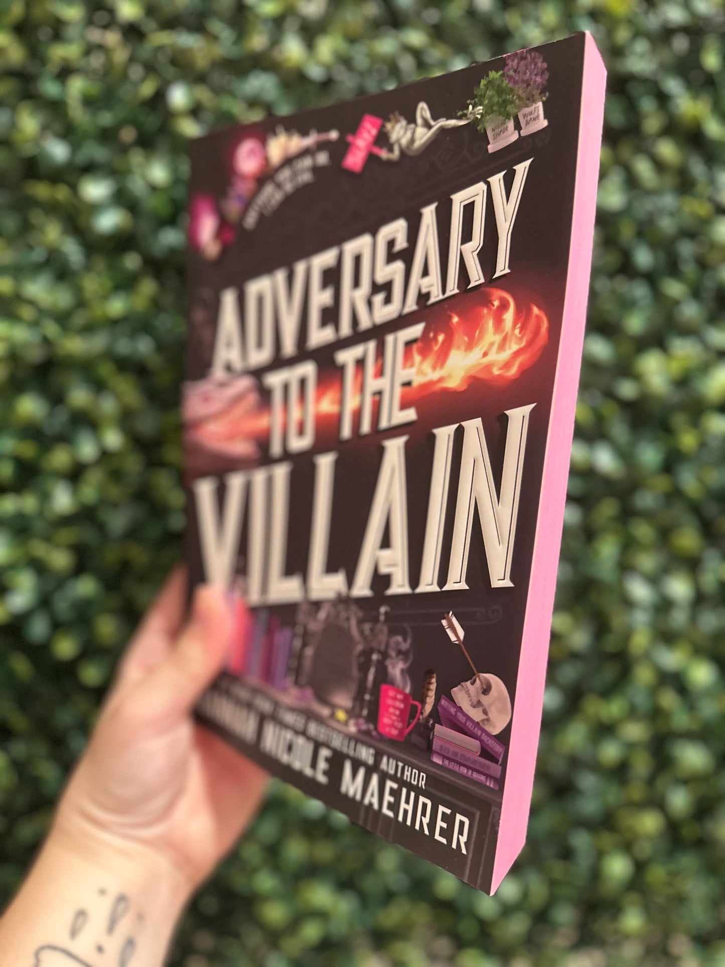 Adversary to the Villain (Accomplice to the Villain #4)