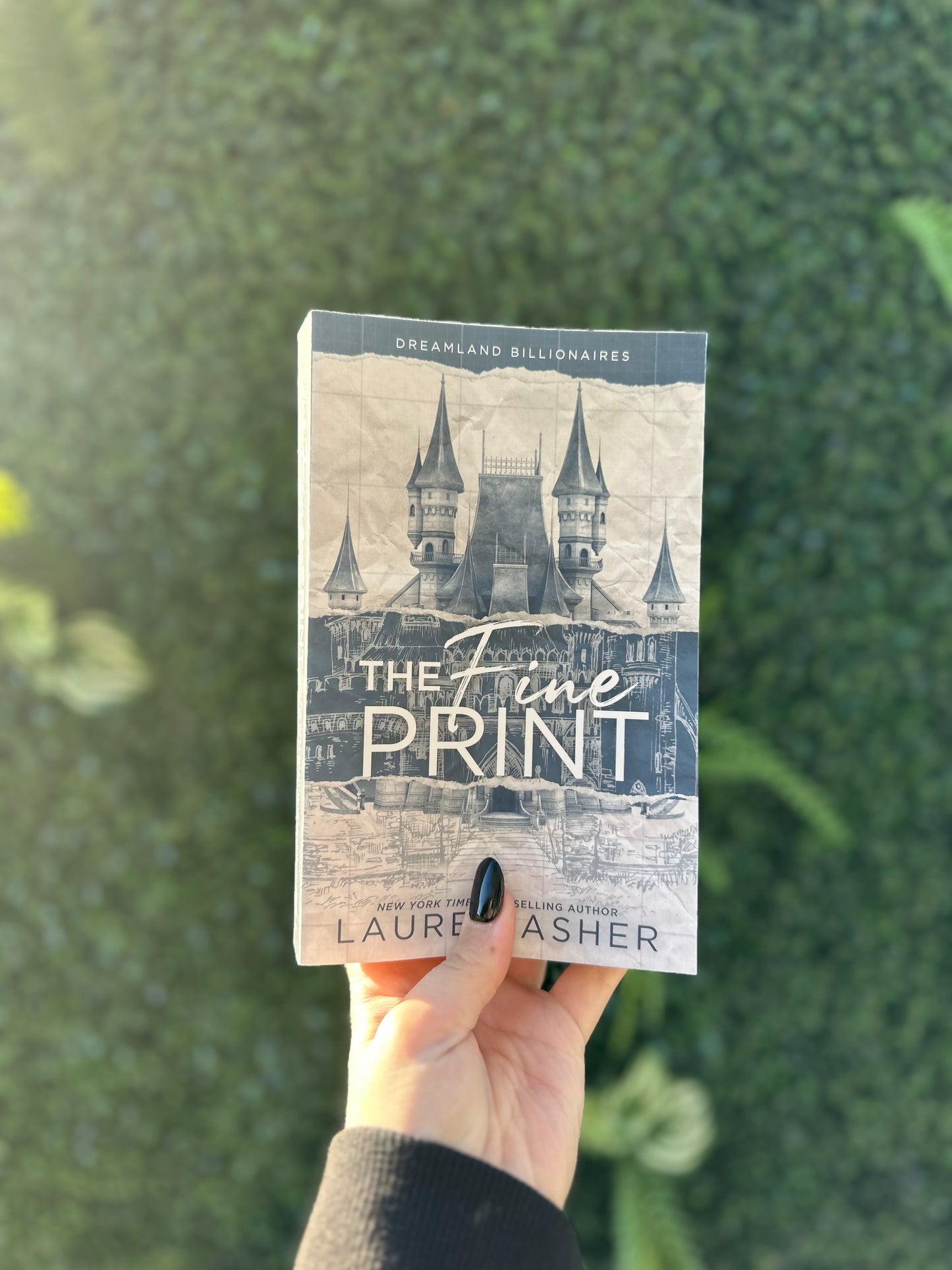 The Fine Print (Dreamland Billionaires #1)