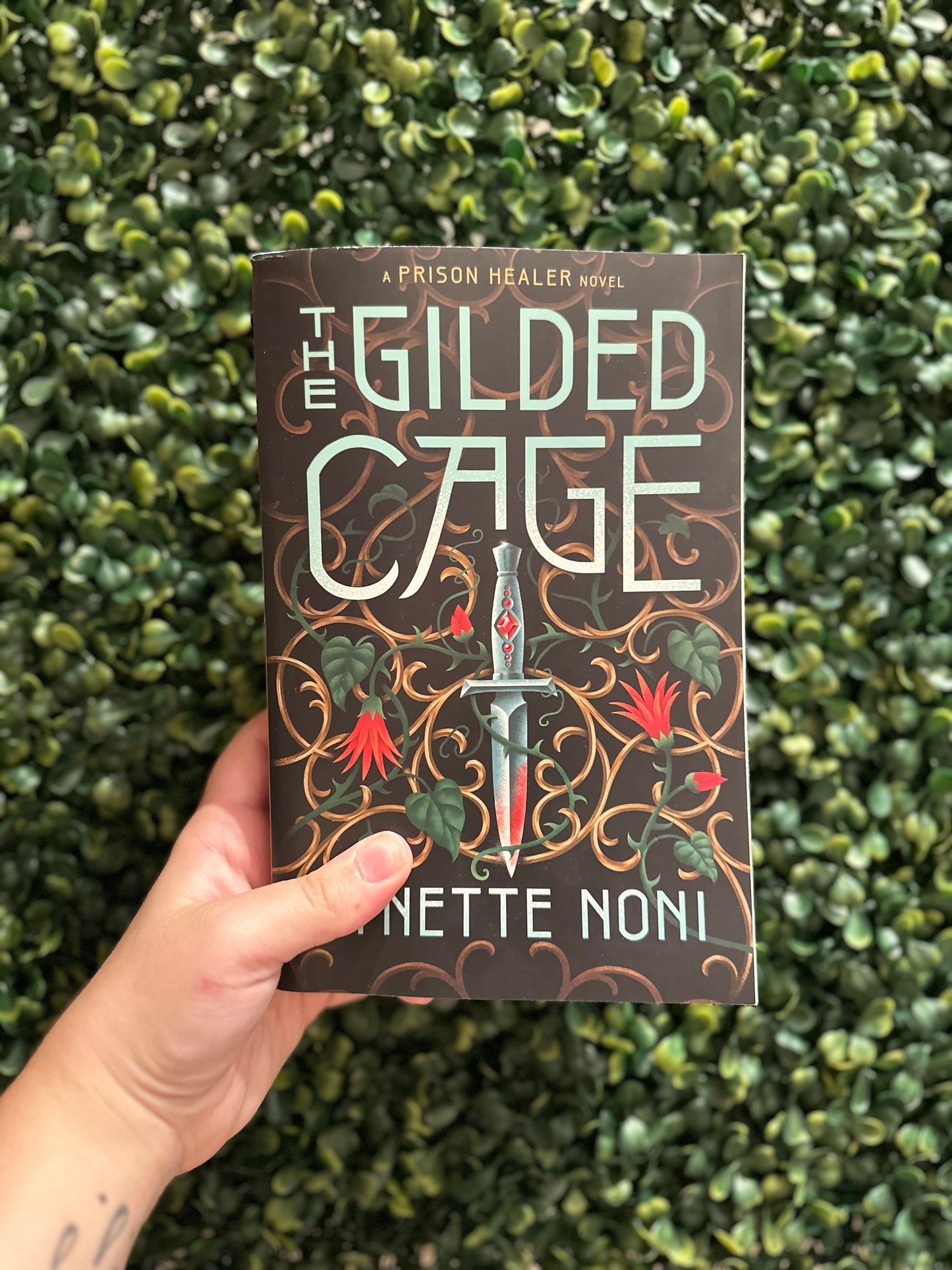 Gilded Cage (The Prison Healer #2)