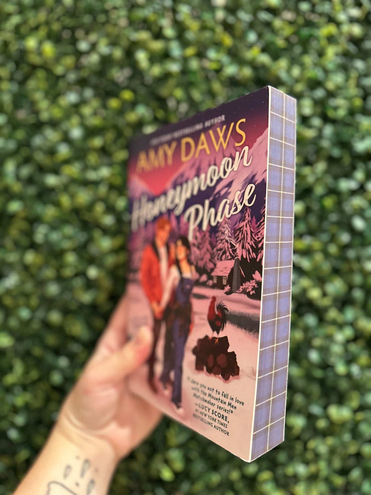 Honeymoon Phase (Mountain Men Matchmaker #3)