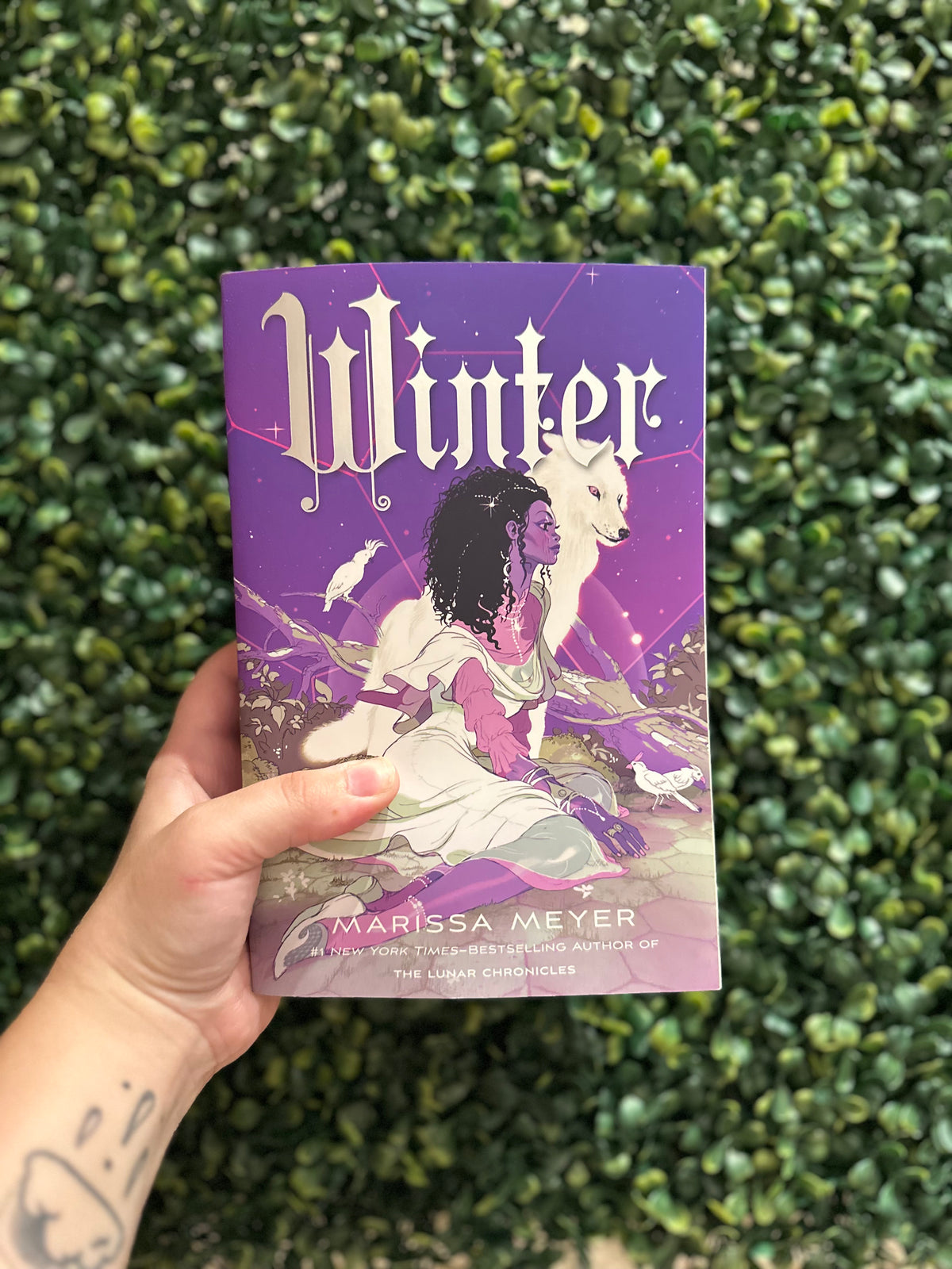 Winter (The Lunar Chronicles #4)