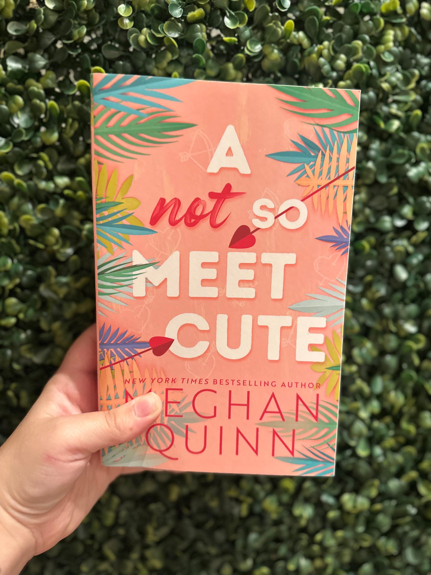 Not So Meet Cute (Cane Brothers #1)