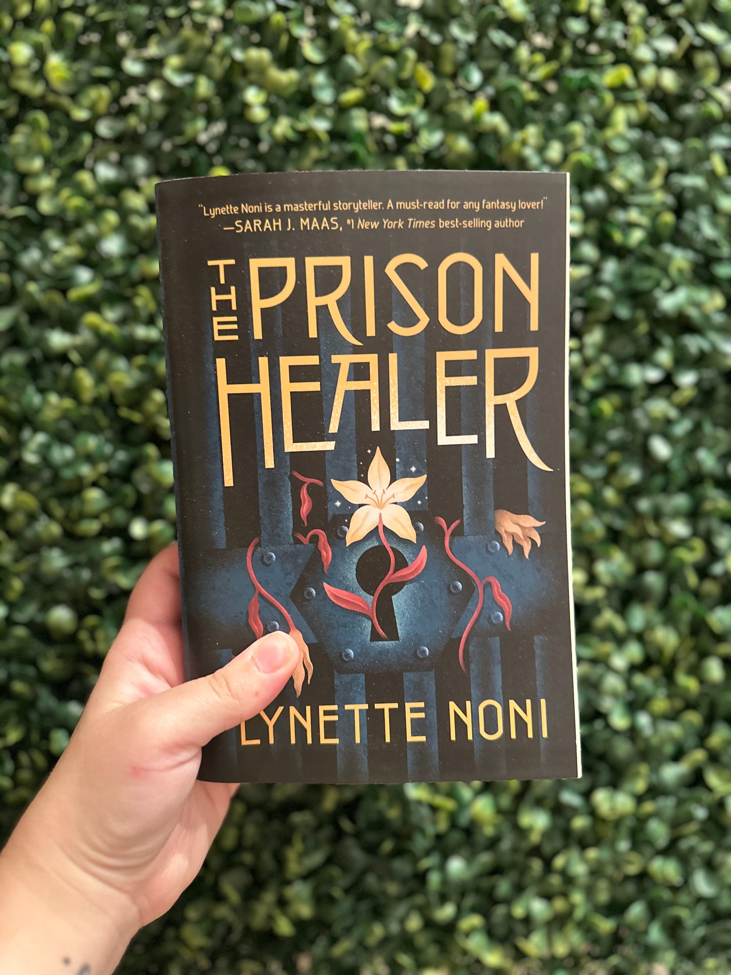 Prison Healer (The Prison Healer #1)