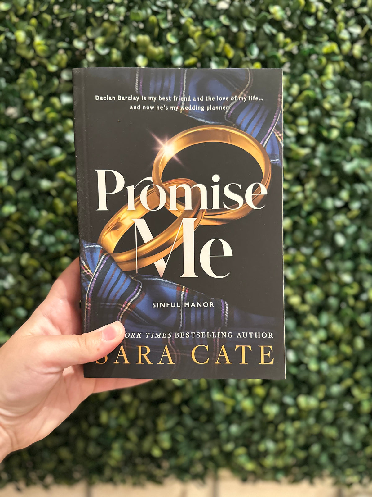 Promise Me (Sinful Manor #2)