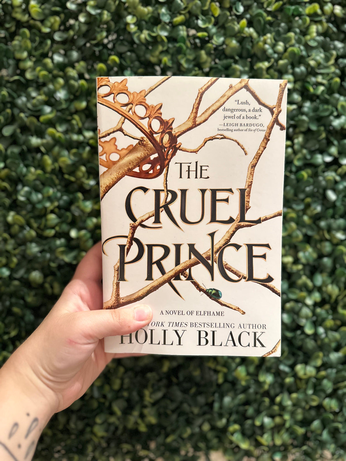 Cruel Prince (The Folk of the Air #1)