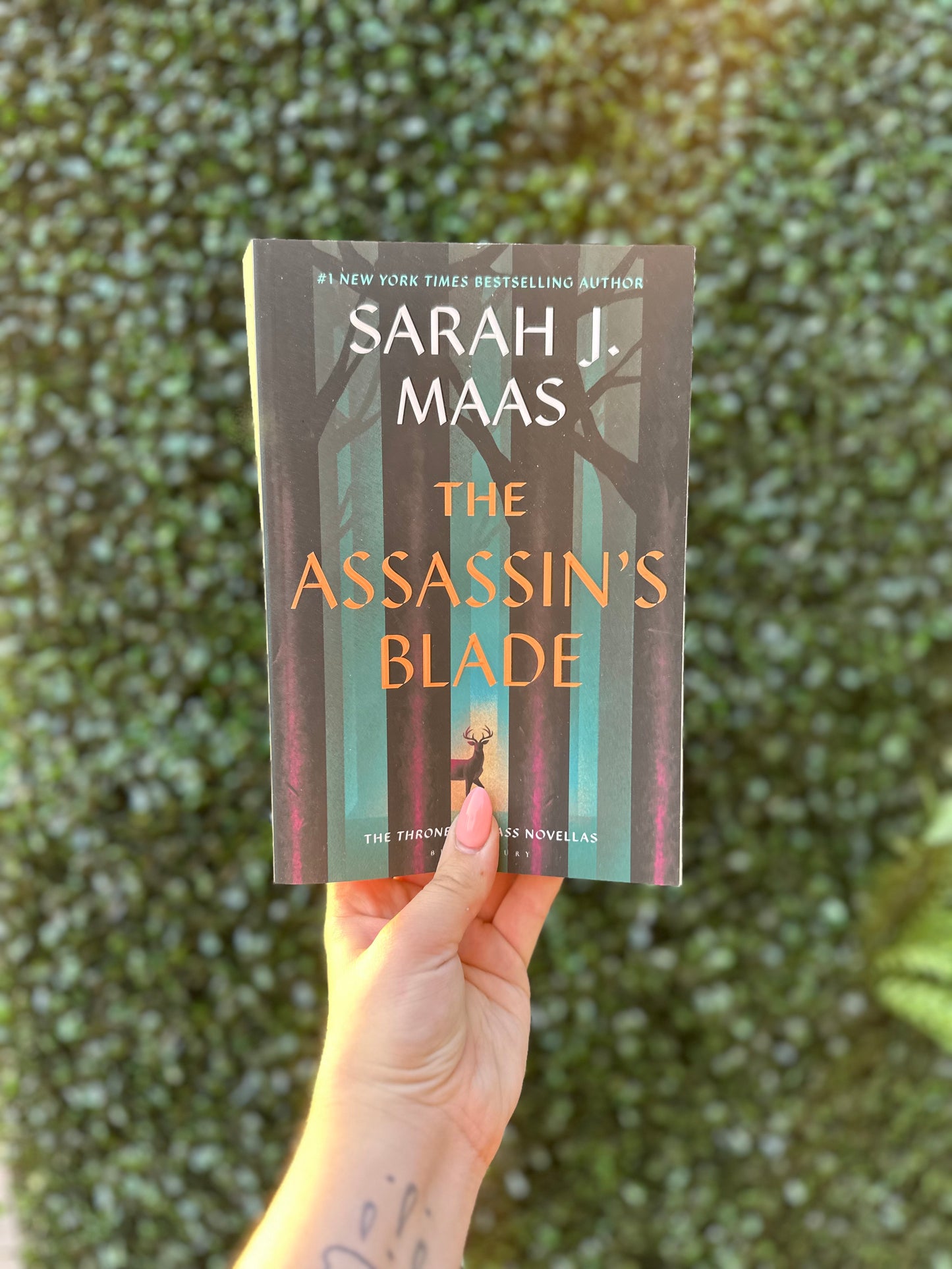 The Assassin's Blade (Throne of Glass #.5)