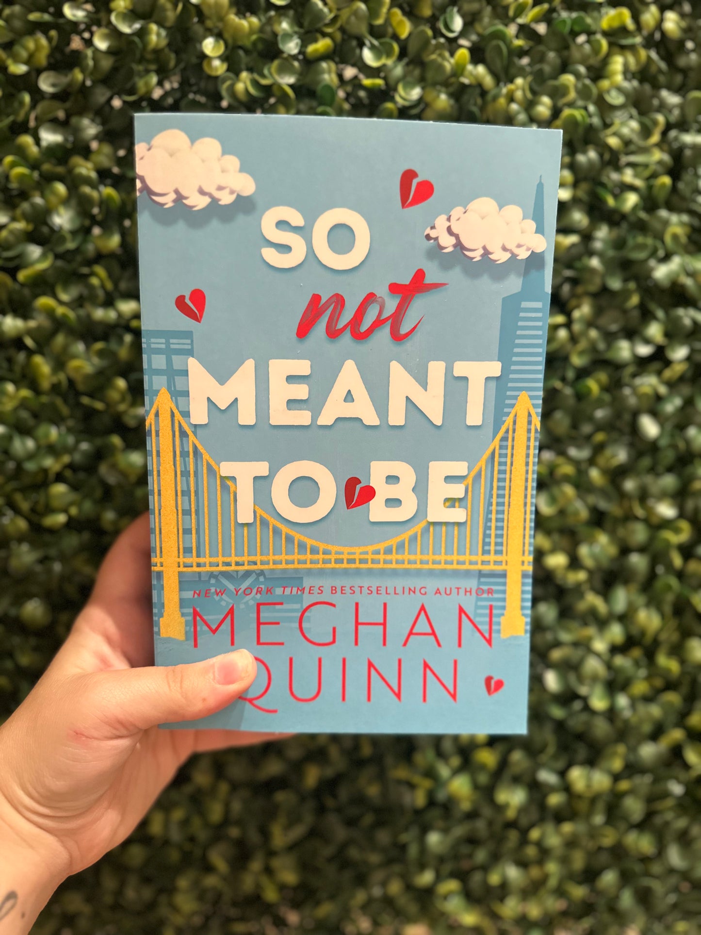 So Not Meant To Be (Cane Brothers #2)