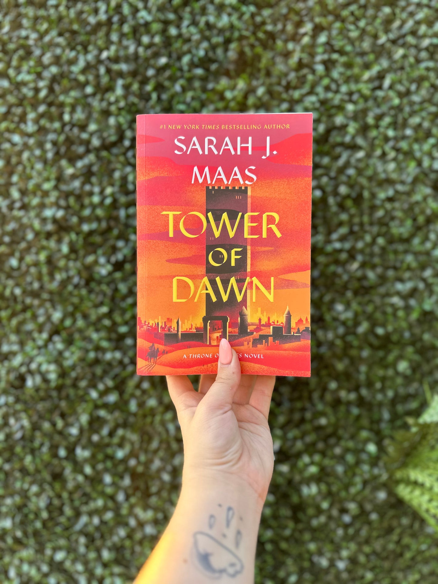 Tower of Dawn (Throne of Glass #6)